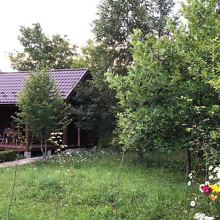 Галіція Villa Byalobereska Dış mekan fotoğraf