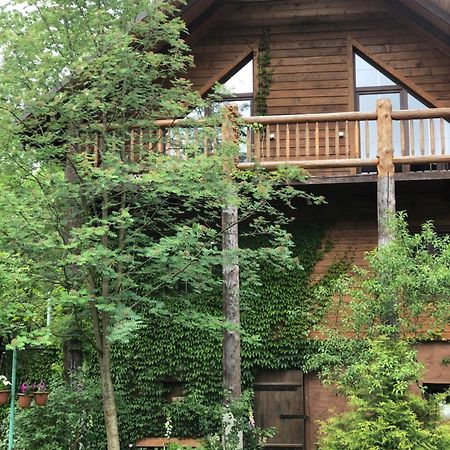 Галіція Villa Byalobereska Dış mekan fotoğraf