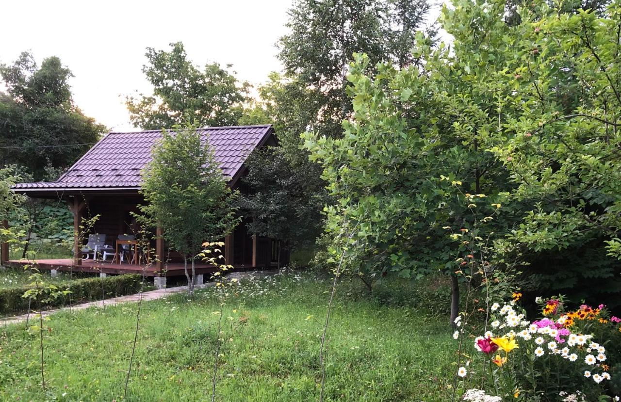 Галіція Villa Byalobereska Dış mekan fotoğraf